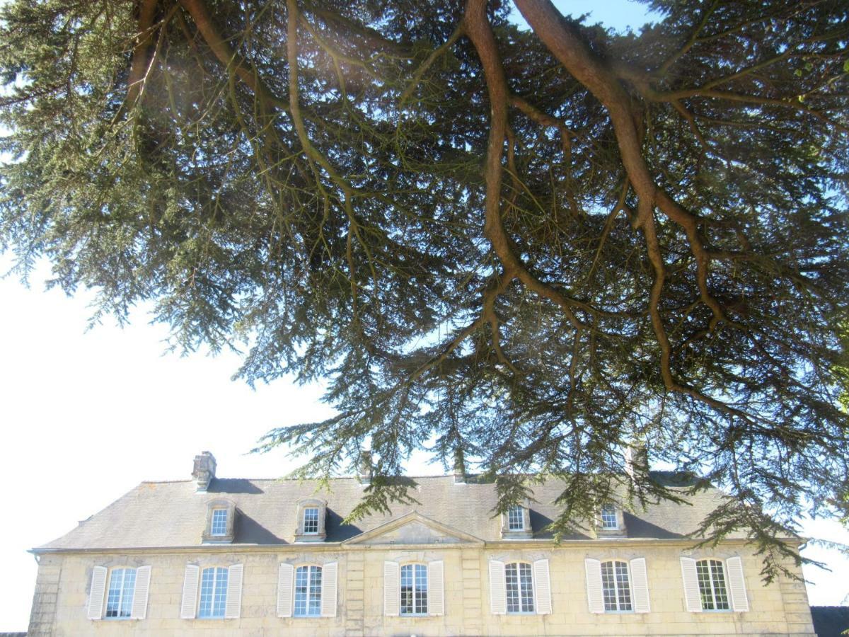 Bed & Breakfast Chateau Les Cedres Bretteville-l'Orgueilleuse Kültér fotó