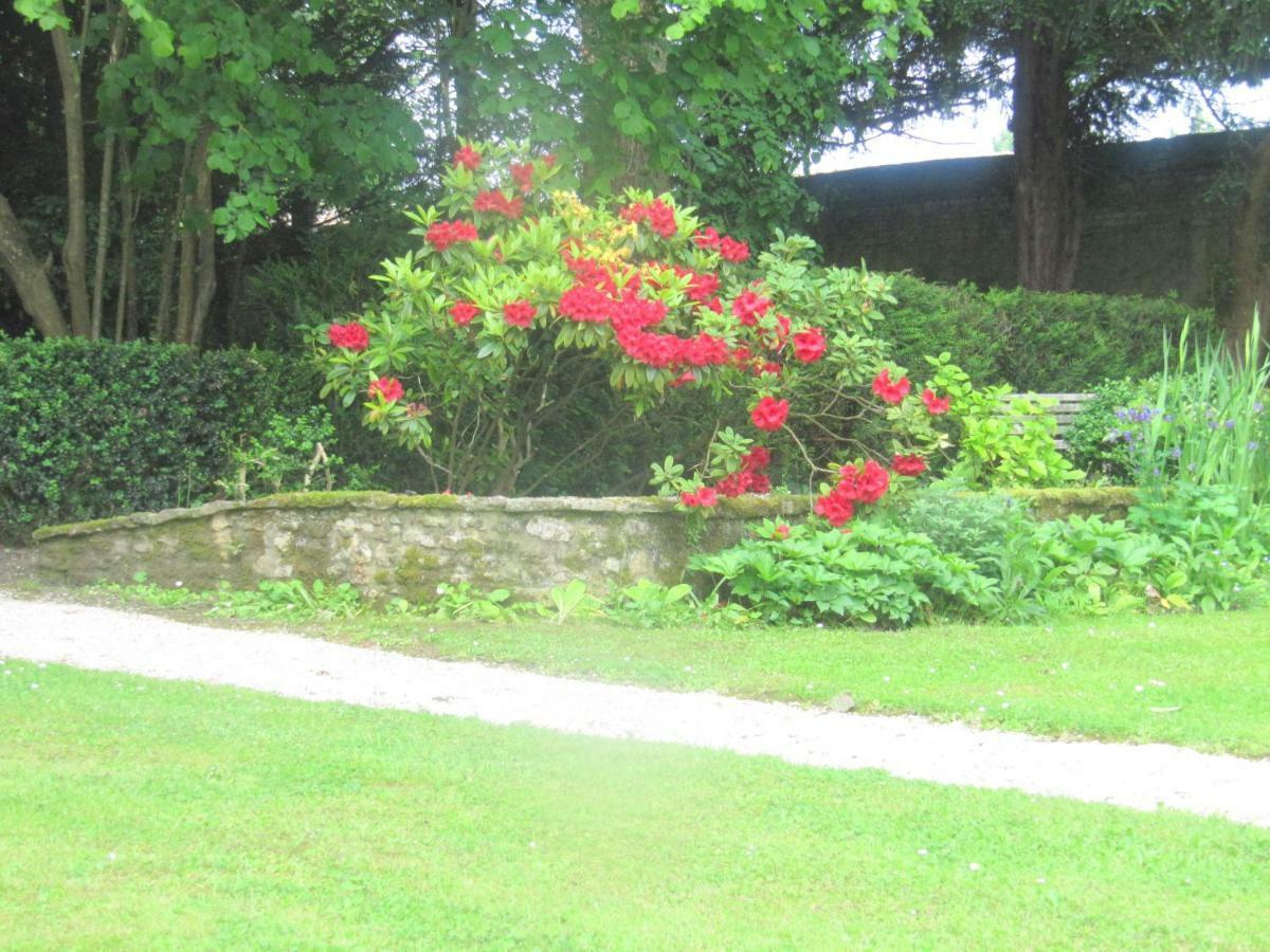 Bed & Breakfast Chateau Les Cedres Bretteville-l'Orgueilleuse Kültér fotó